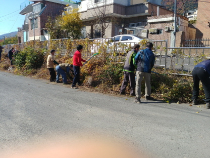 동네 언덕길 낙엽진 잡초제거